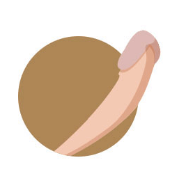 tipos de pênis: berinjela